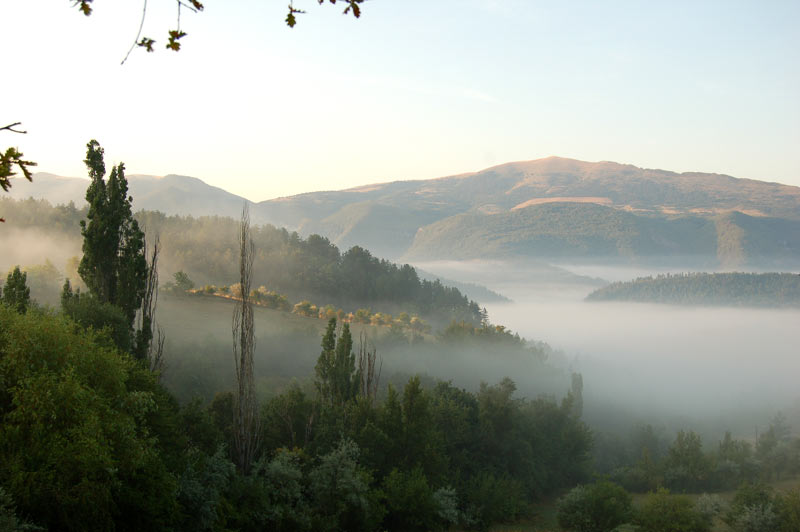 Un matin de brume